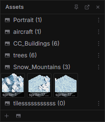 Assets Panel